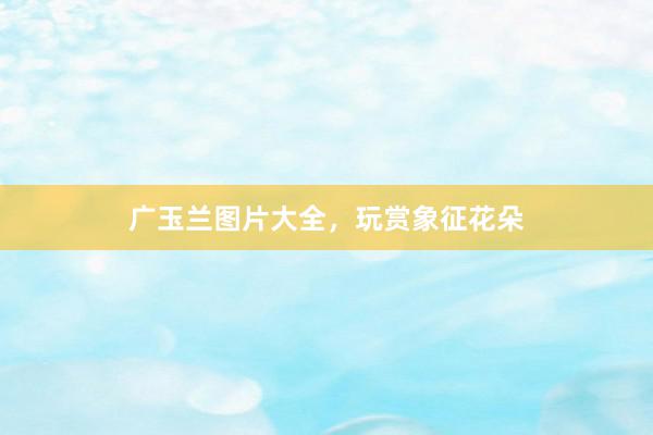 广玉兰图片大全，玩赏象征花朵