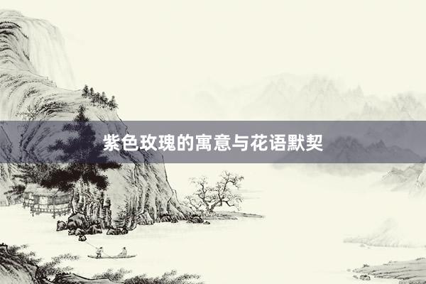 紫色玫瑰的寓意与花语默契
