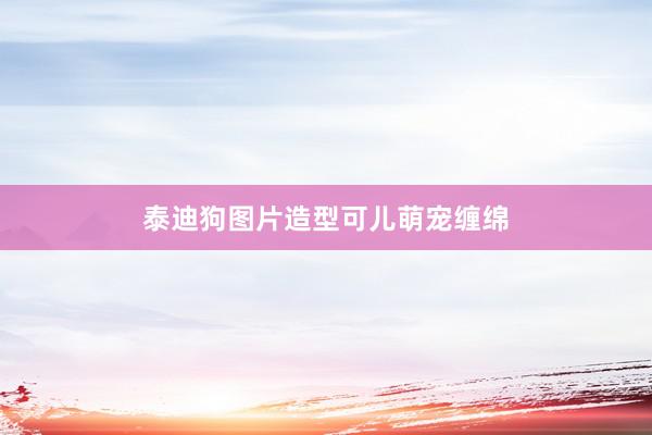 泰迪狗图片造型可儿萌宠缠绵