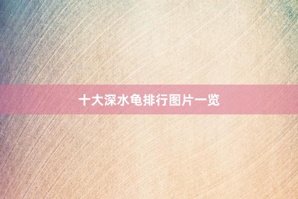 十大深水龟排行图片一览