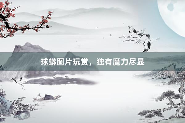 球蟒图片玩赏，独有魔力尽显