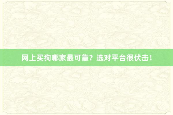 网上买狗哪家最可靠？选对平台很伏击！